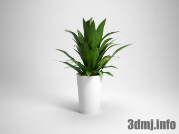 <!--{$arrProduct.name|h}-->