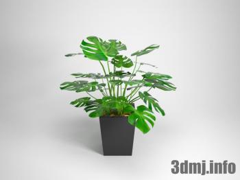 <!--{$arrProduct.name|h}-->