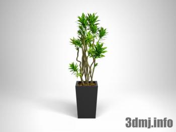 <!--{$arrProduct.name|h}-->