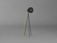 light_0021