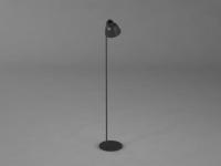 light_0065