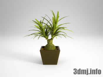 <!--{$arrProduct.name|h}-->