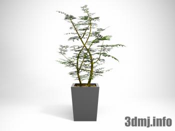 <!--{$arrProduct.name|h}-->