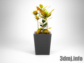 <!--{$arrProduct.name|h}-->