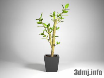 <!--{$arrProduct.name|h}-->