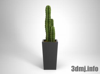 <!--{$arrProduct.name|h}-->