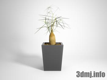 <!--{$arrProduct.name|h}-->