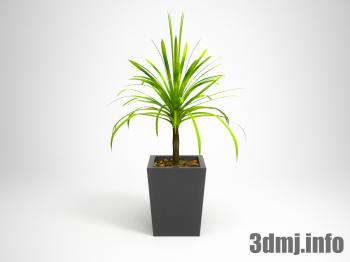 <!--{$arrProduct.name|h}-->