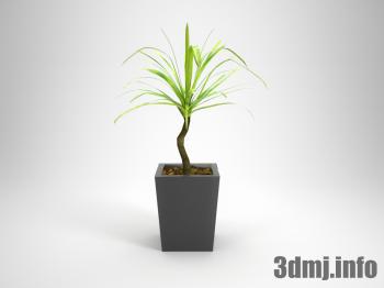 <!--{$arrProduct.name|h}-->