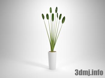 <!--{$arrProduct.name|h}-->