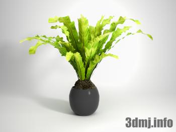 <!--{$arrProduct.name|h}-->