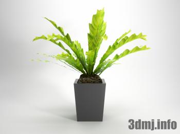 <!--{$arrProduct.name|h}-->