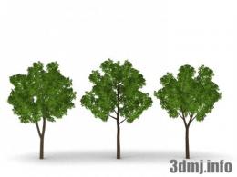 <!--{$arrProduct.name|h}-->