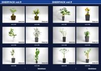 SHERPACK_vol.9【Indoor Plants】【DVDパッケージ版】