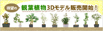待望の観葉植物3Dモデル販売開始