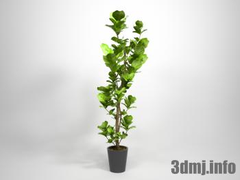 <!--{$arrProduct.name|h}-->